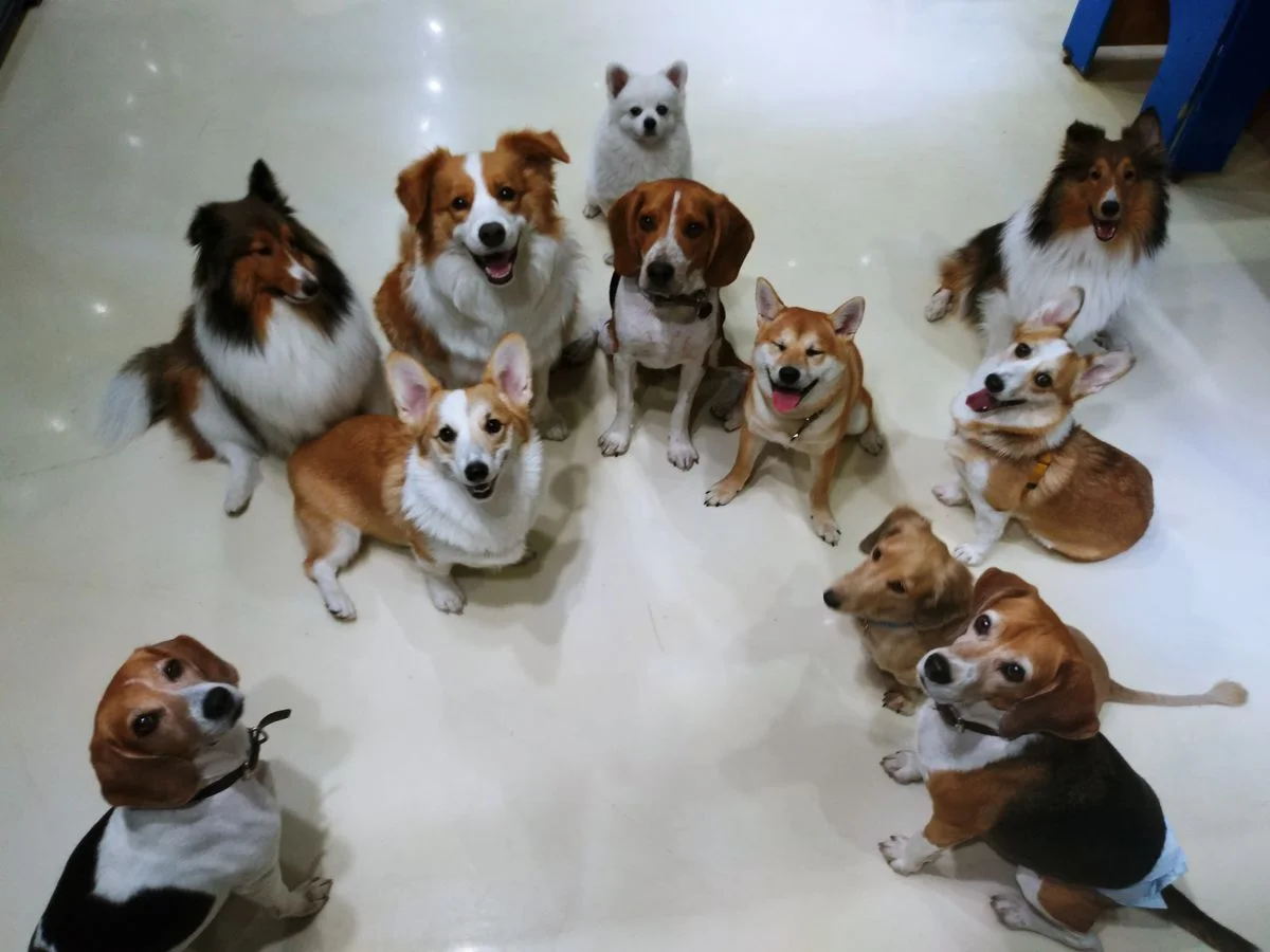 이미지 11