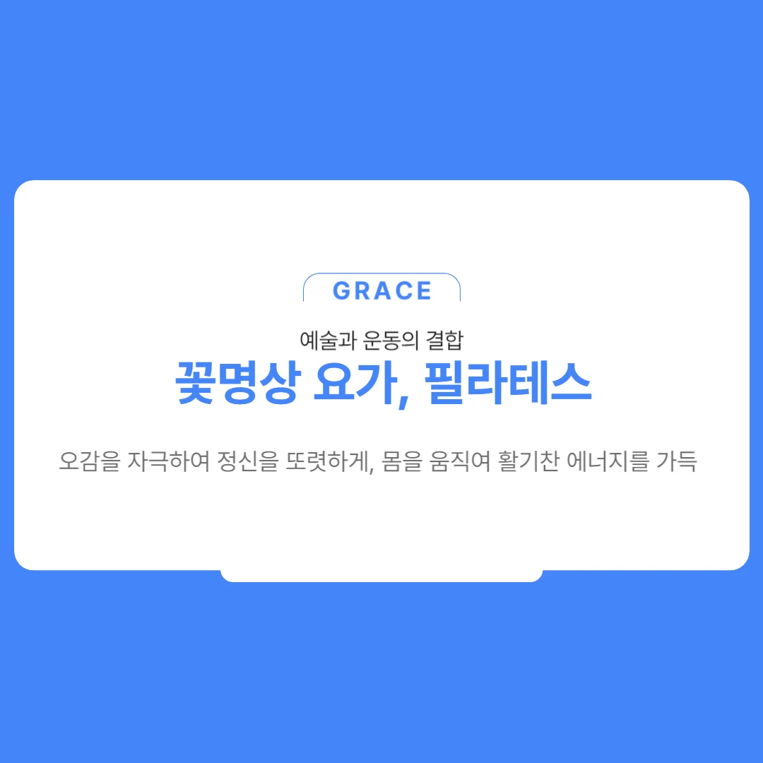 포트폴리오 이미지