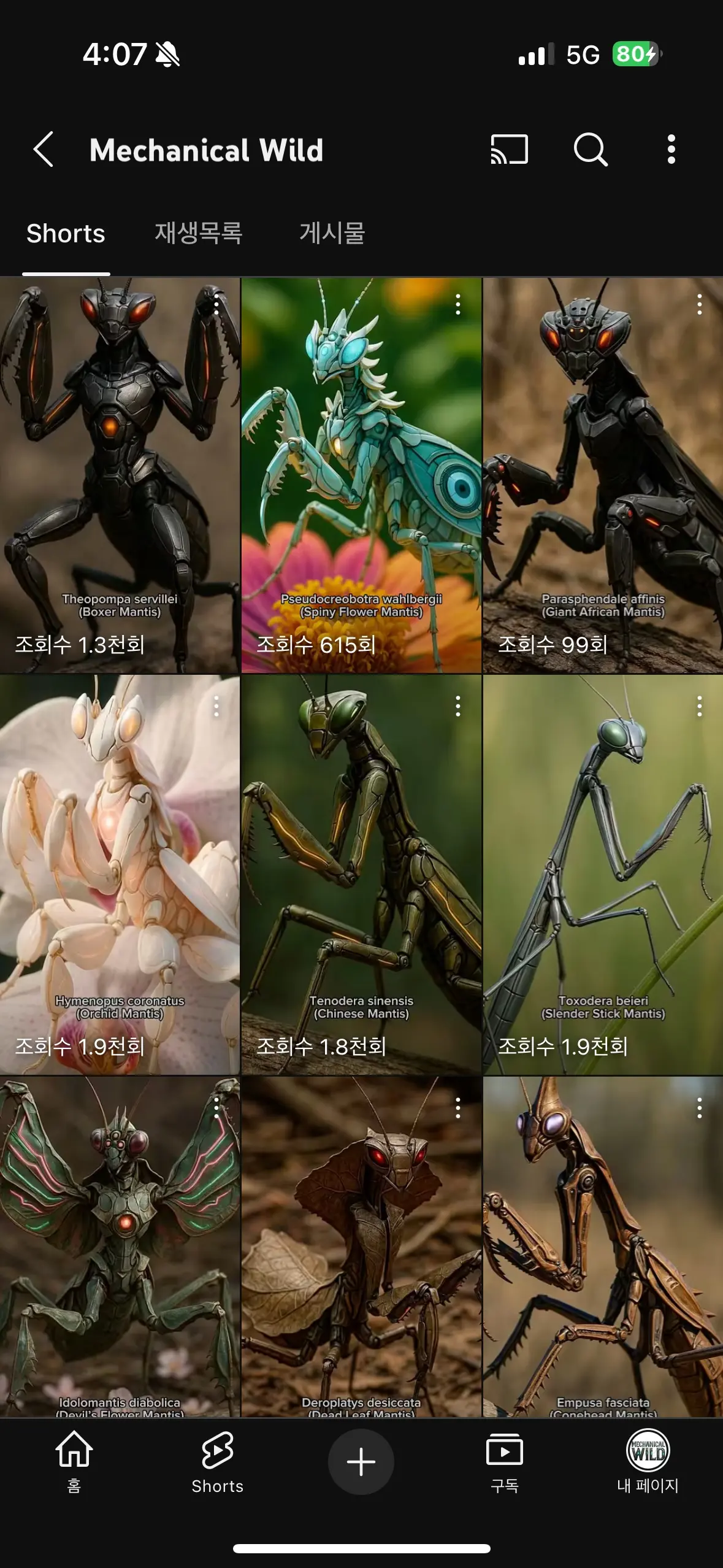 이미지 8