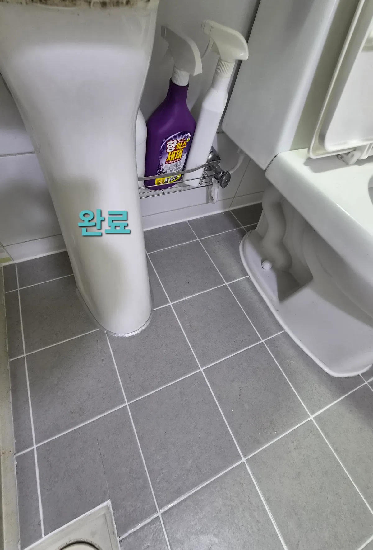 이미지 24