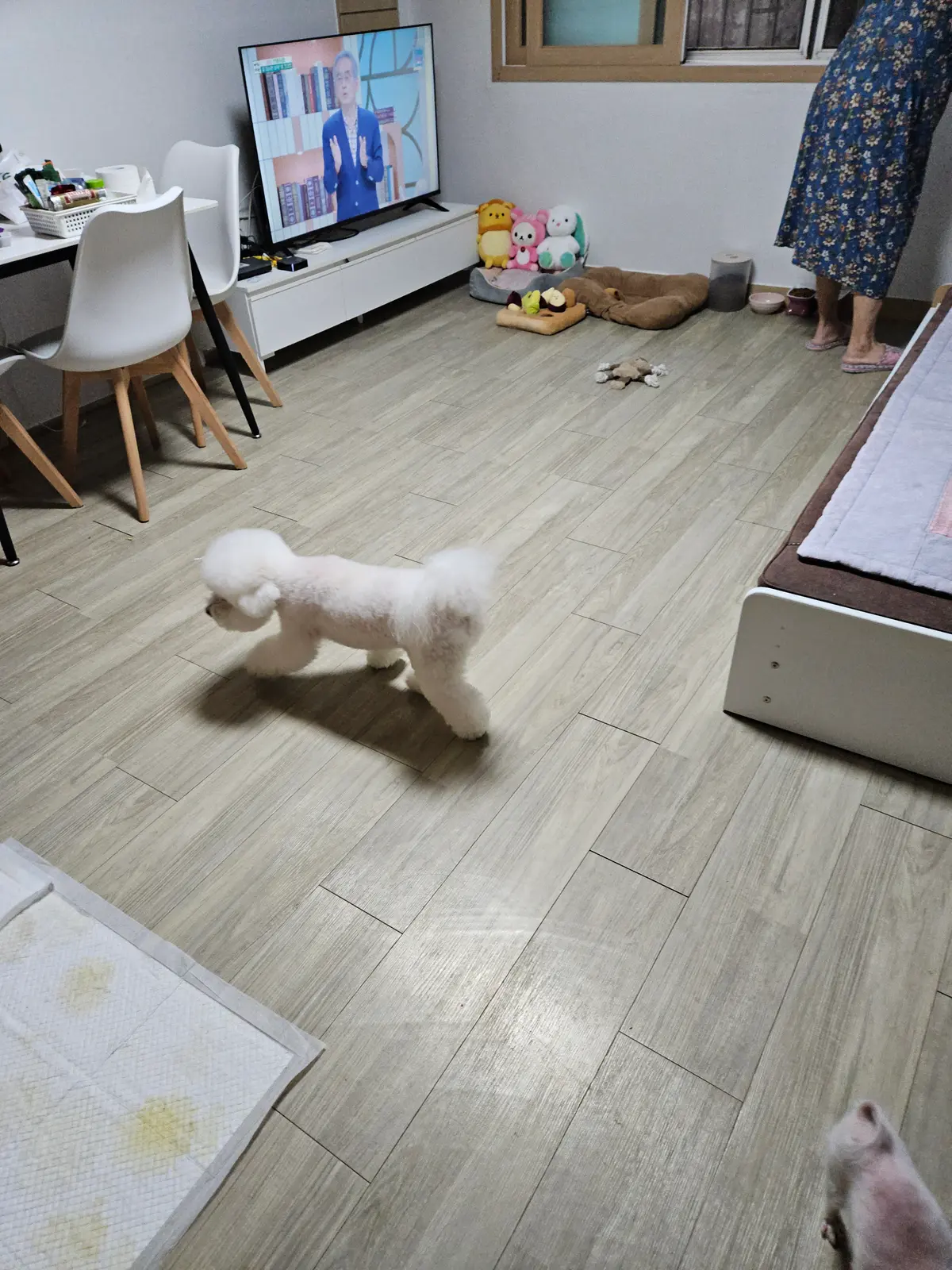 이미지 8