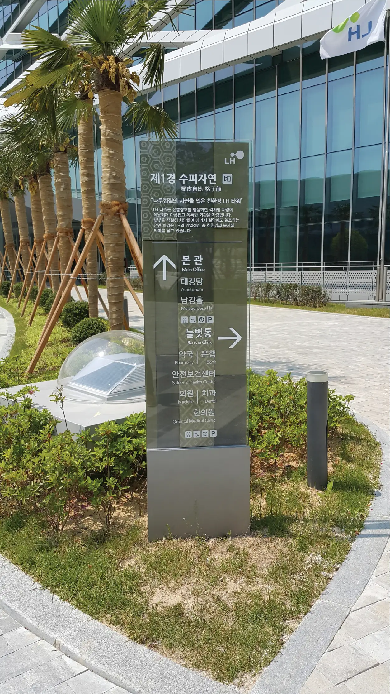 이미지 5
