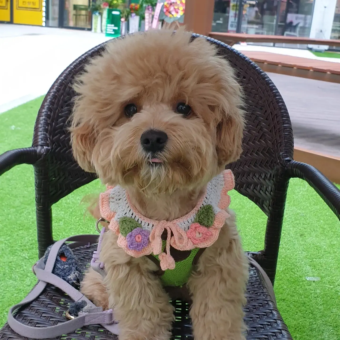 이미지 7