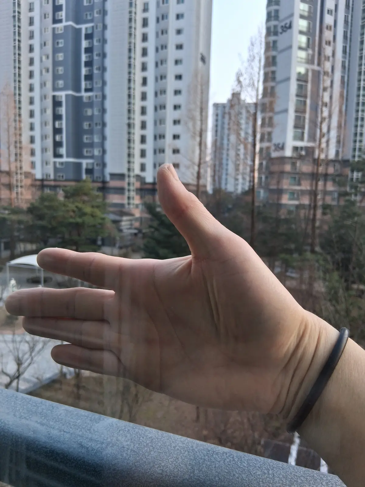 이미지 16