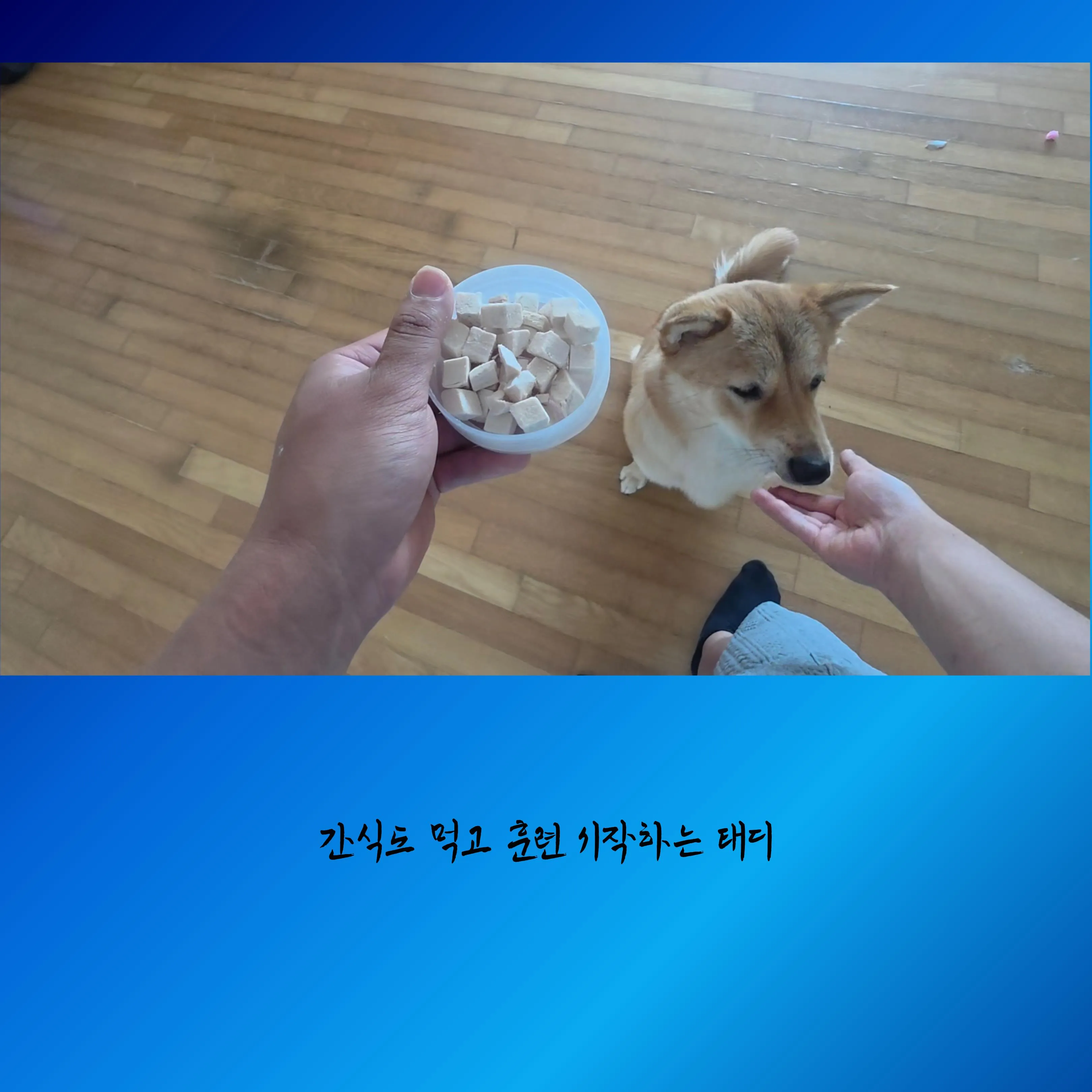 이미지 10