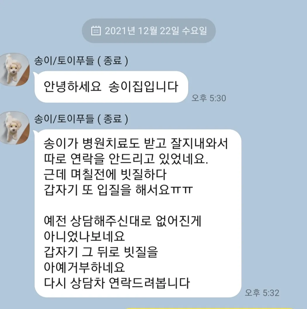 이미지 9