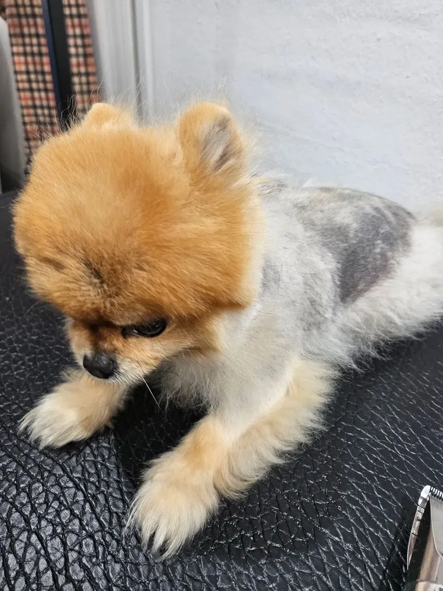 이미지 2