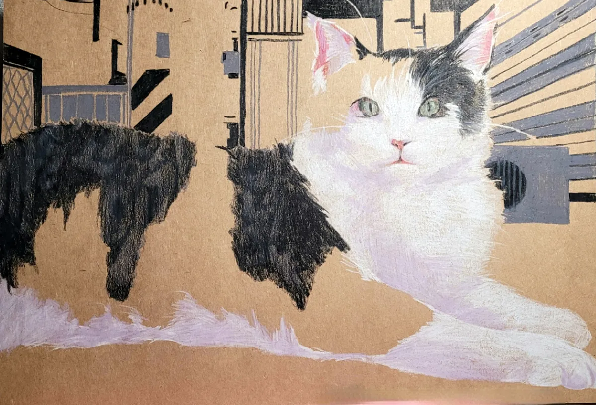 이미지 12
