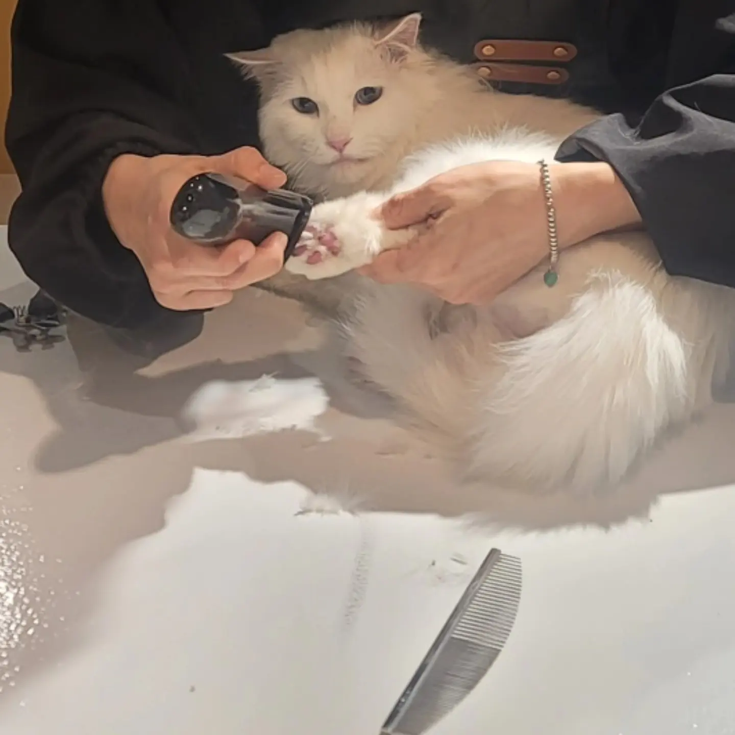이미지 6