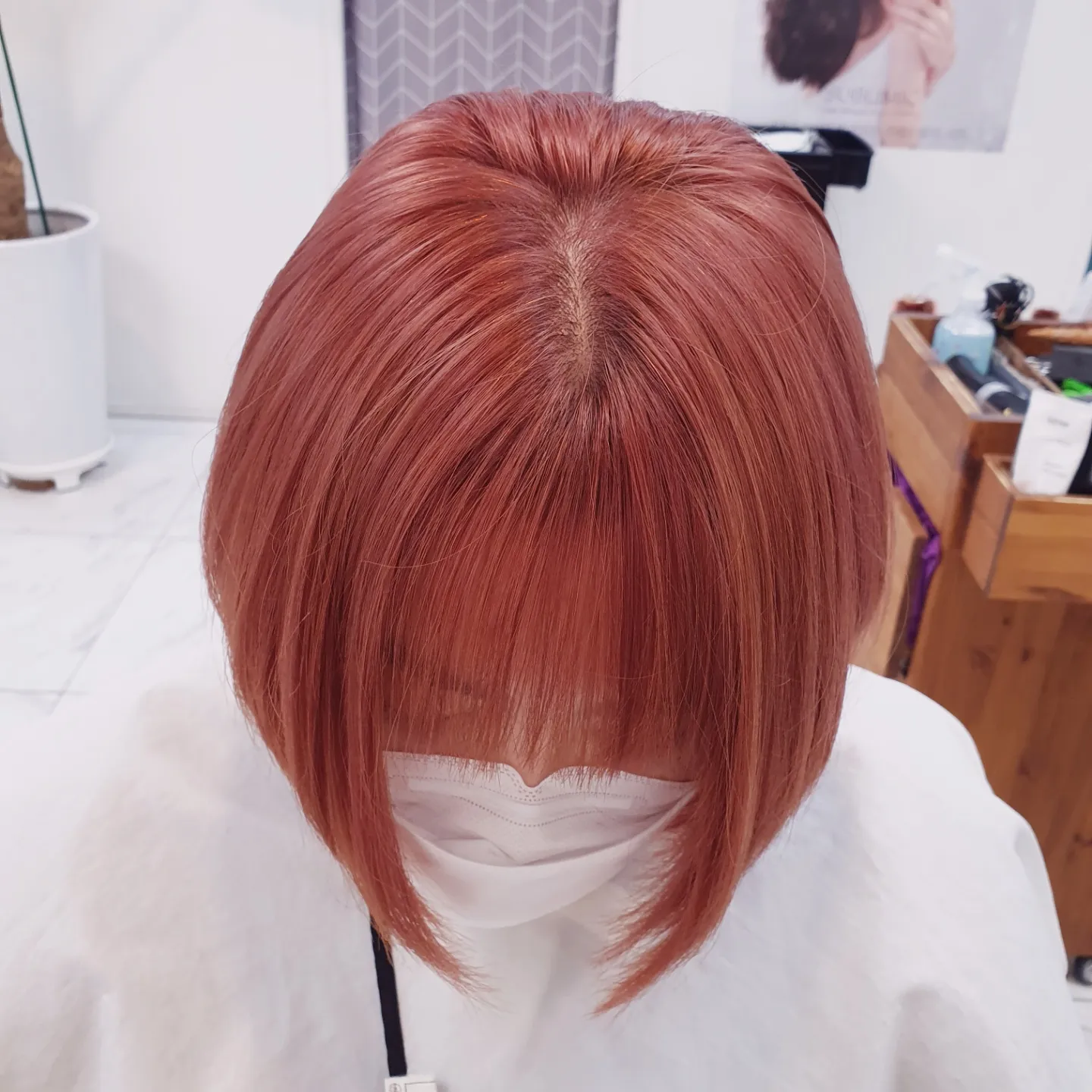 이미지 3
