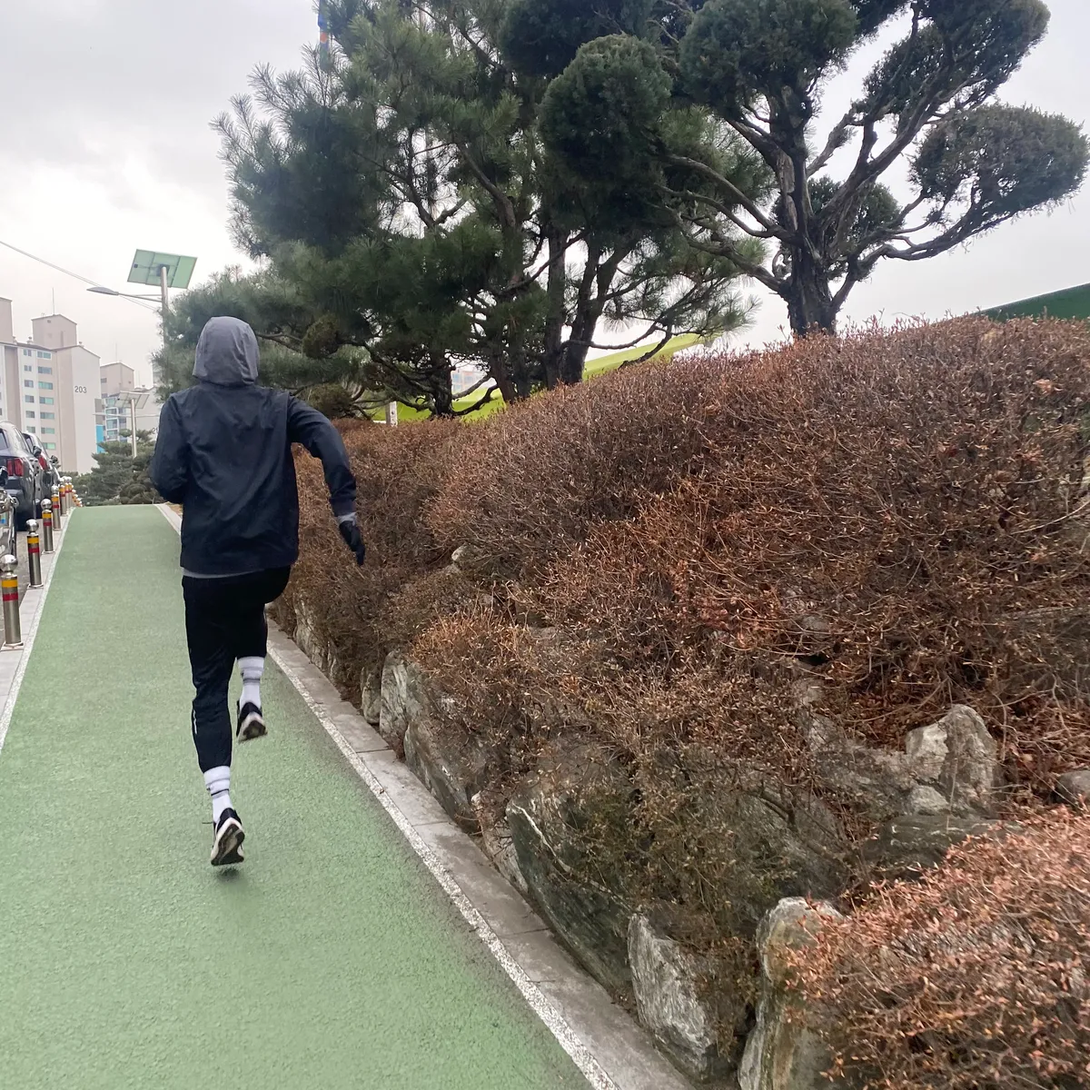 이미지 7