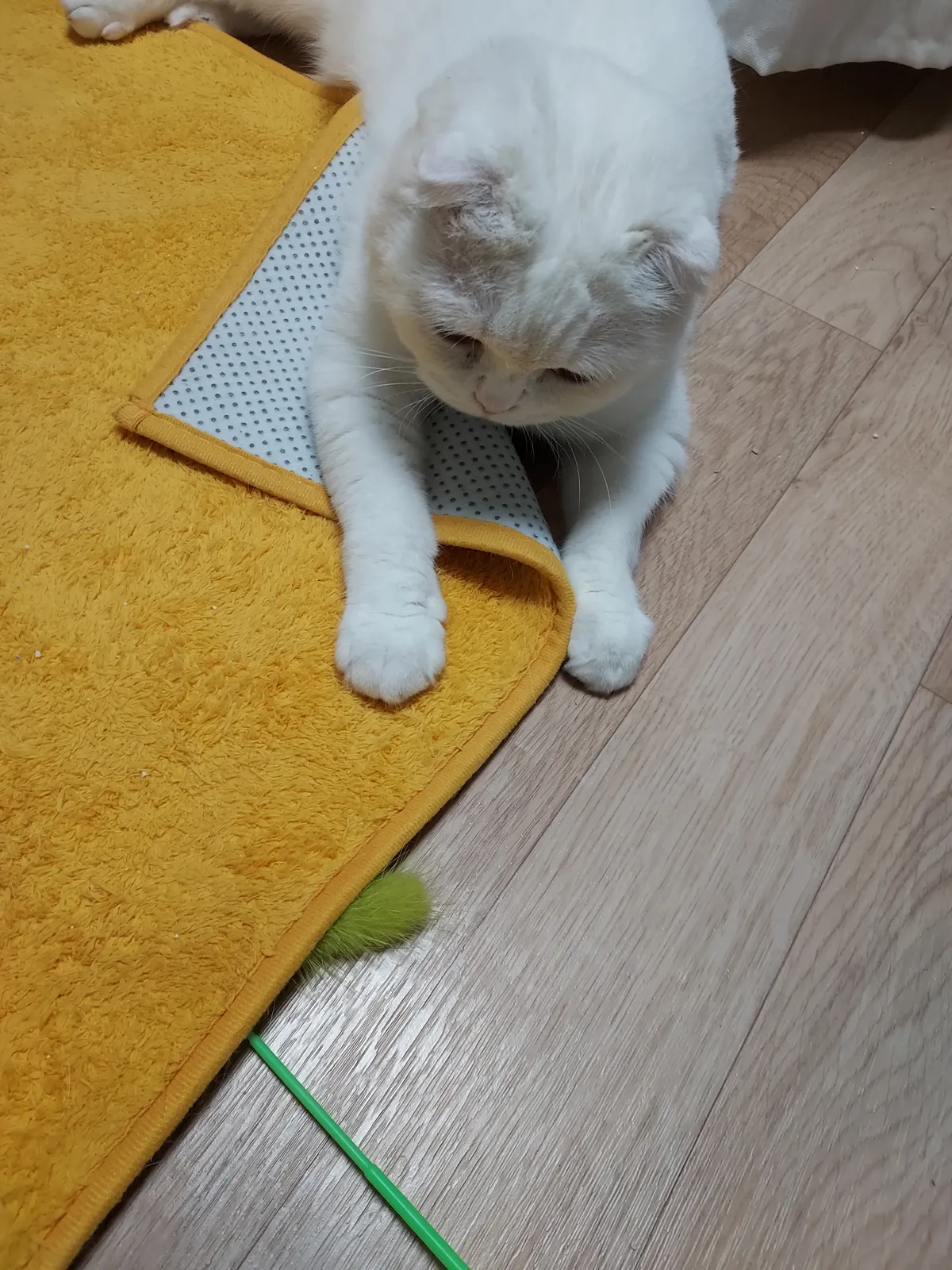 이미지 7