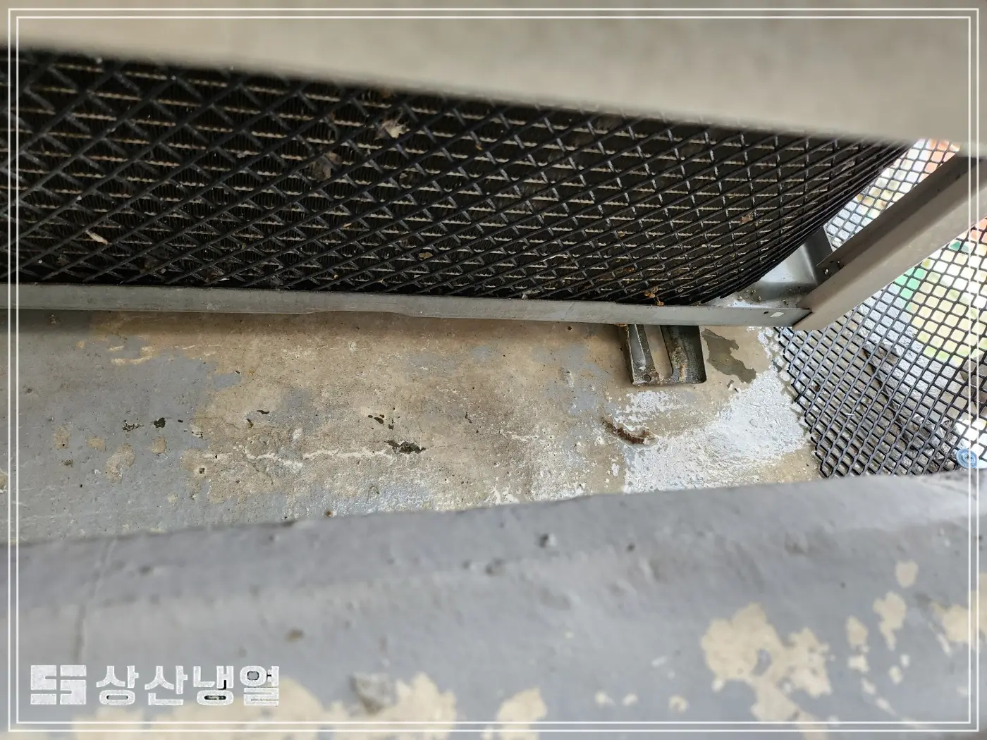이미지 3