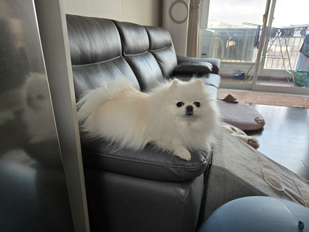 이미지 5