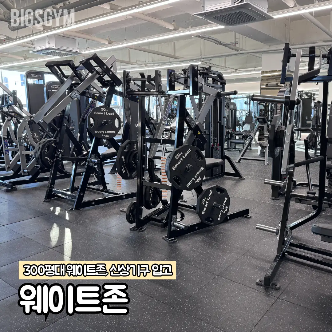 이미지 10