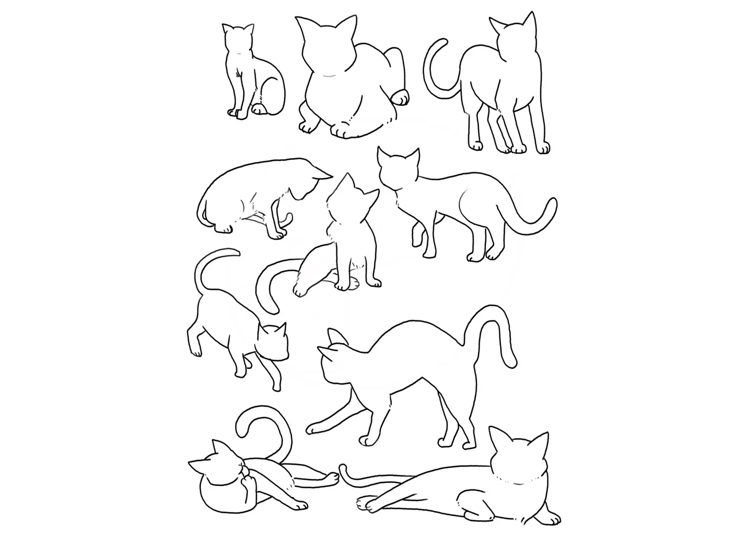 이미지 7