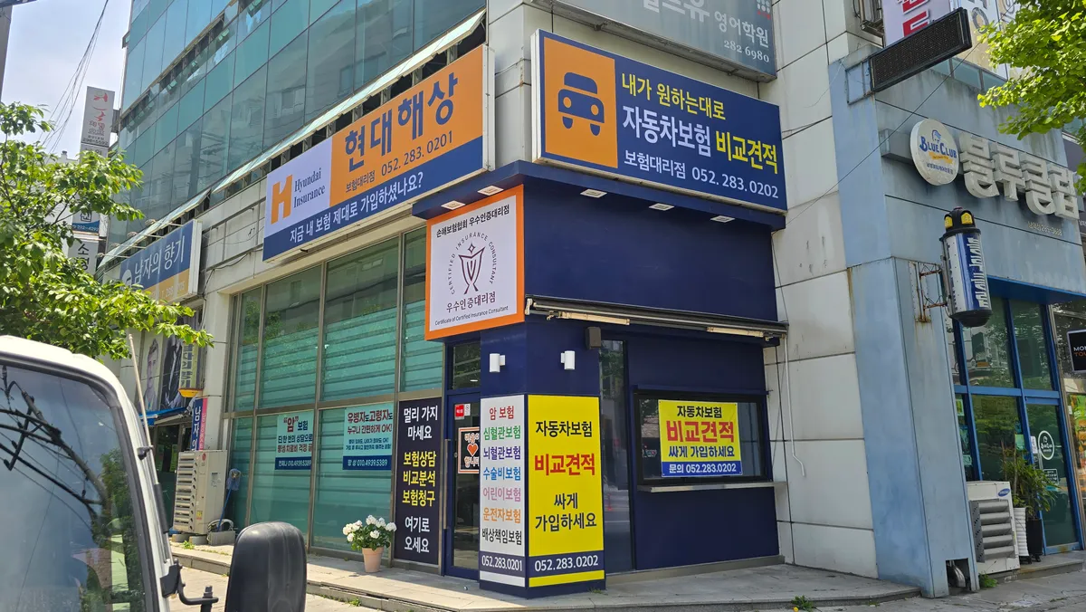 이미지 6