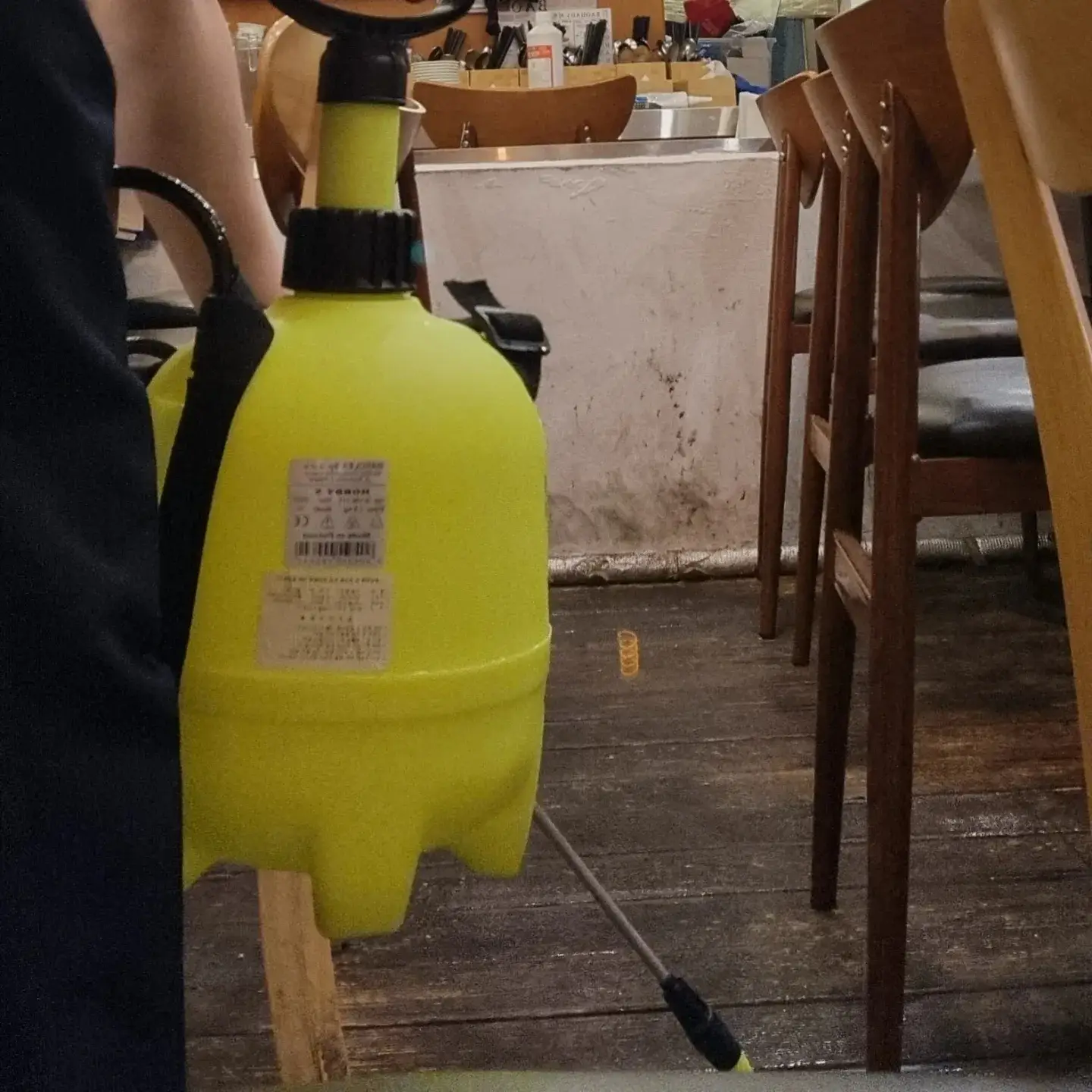 이미지 9