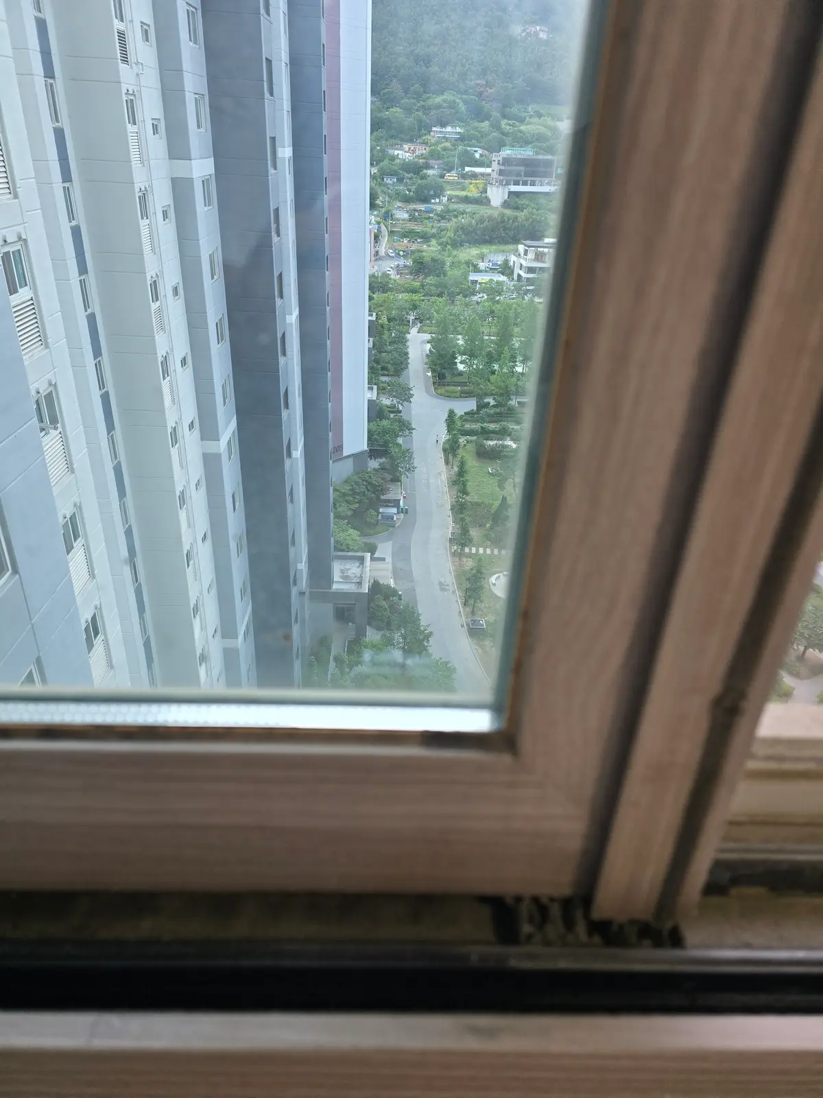 이미지 4