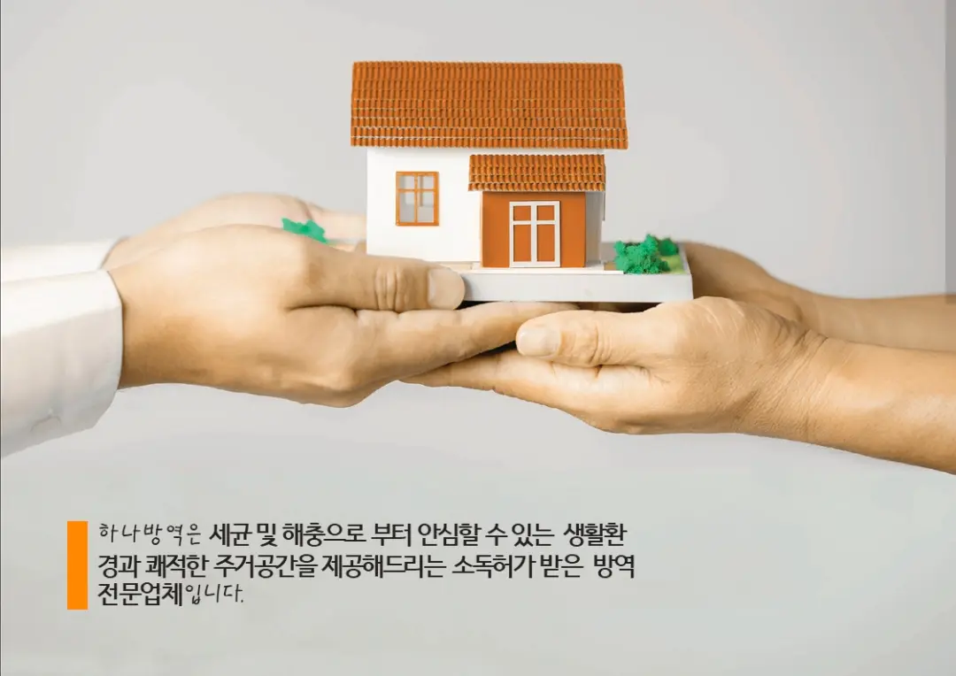 이미지 4
