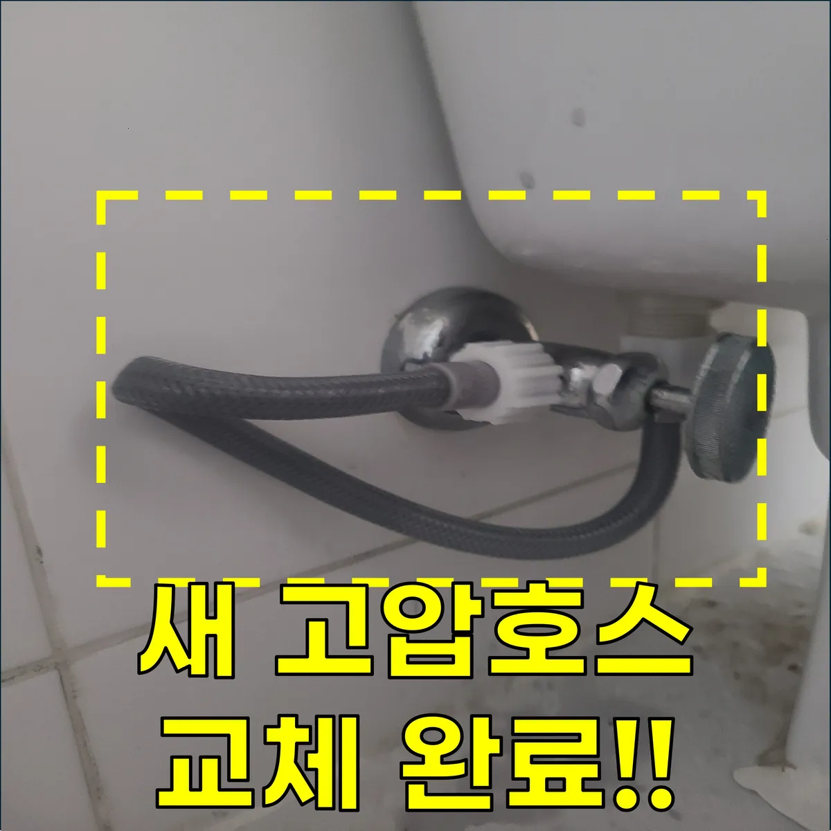 이미지 8