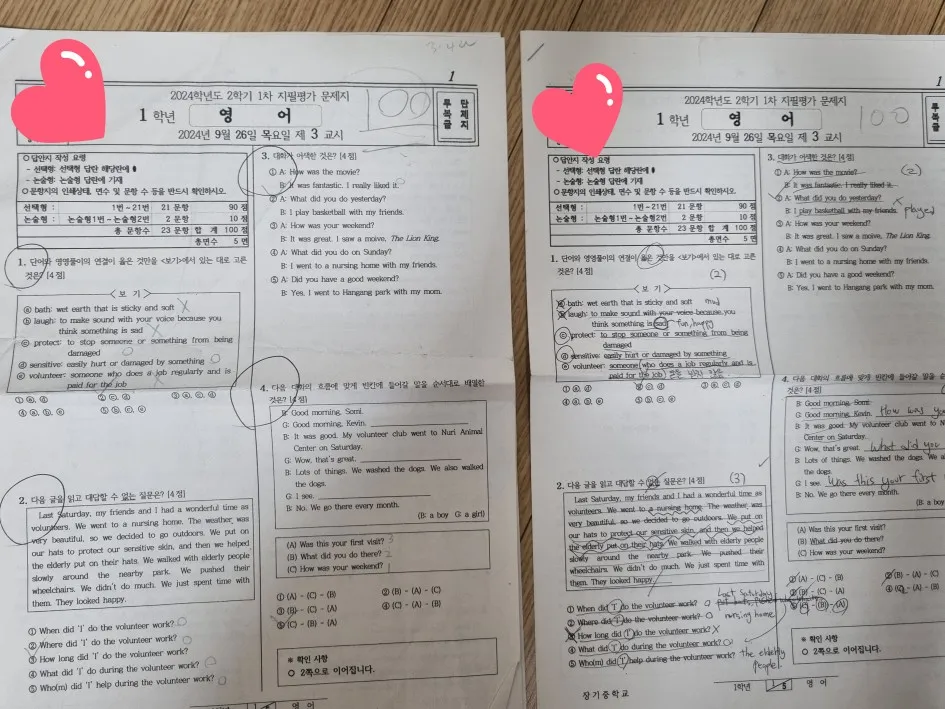 이미지 5