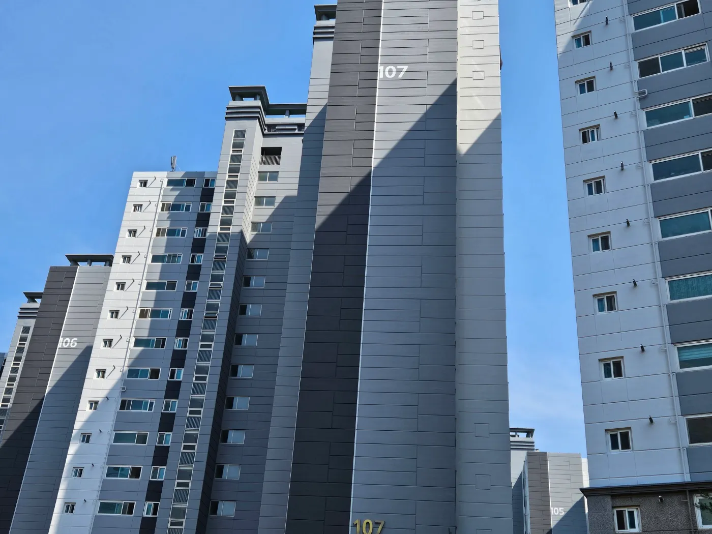 이미지 8