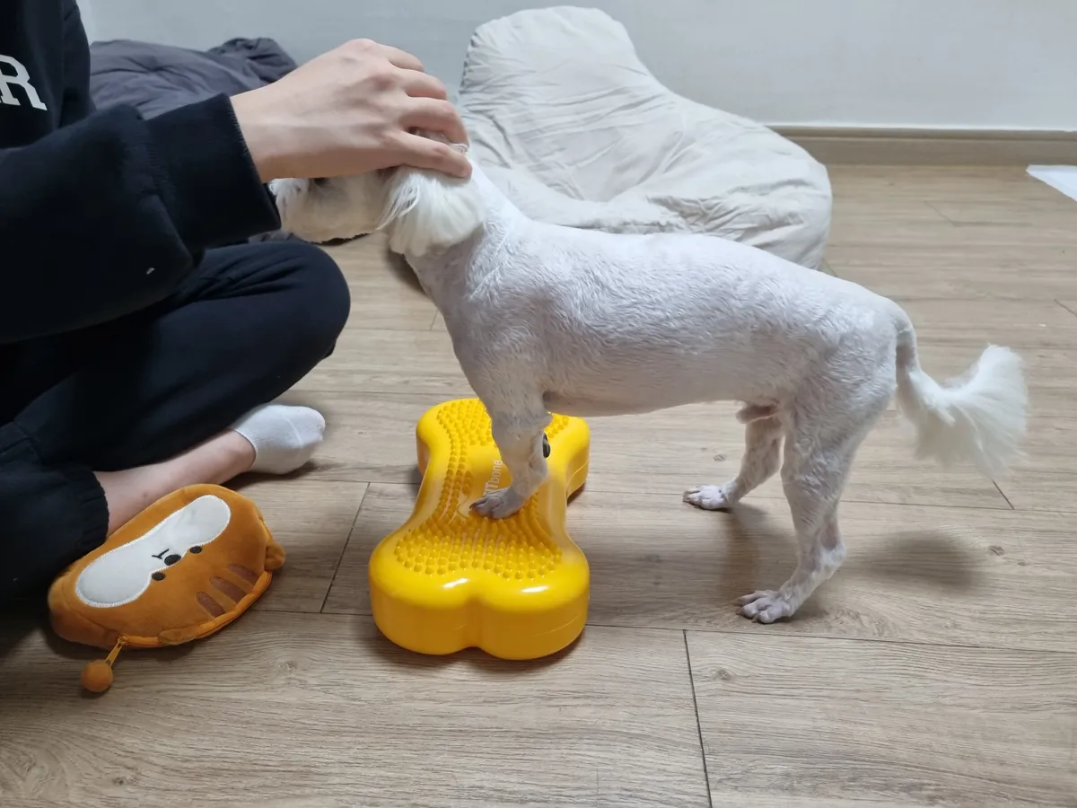이미지 4