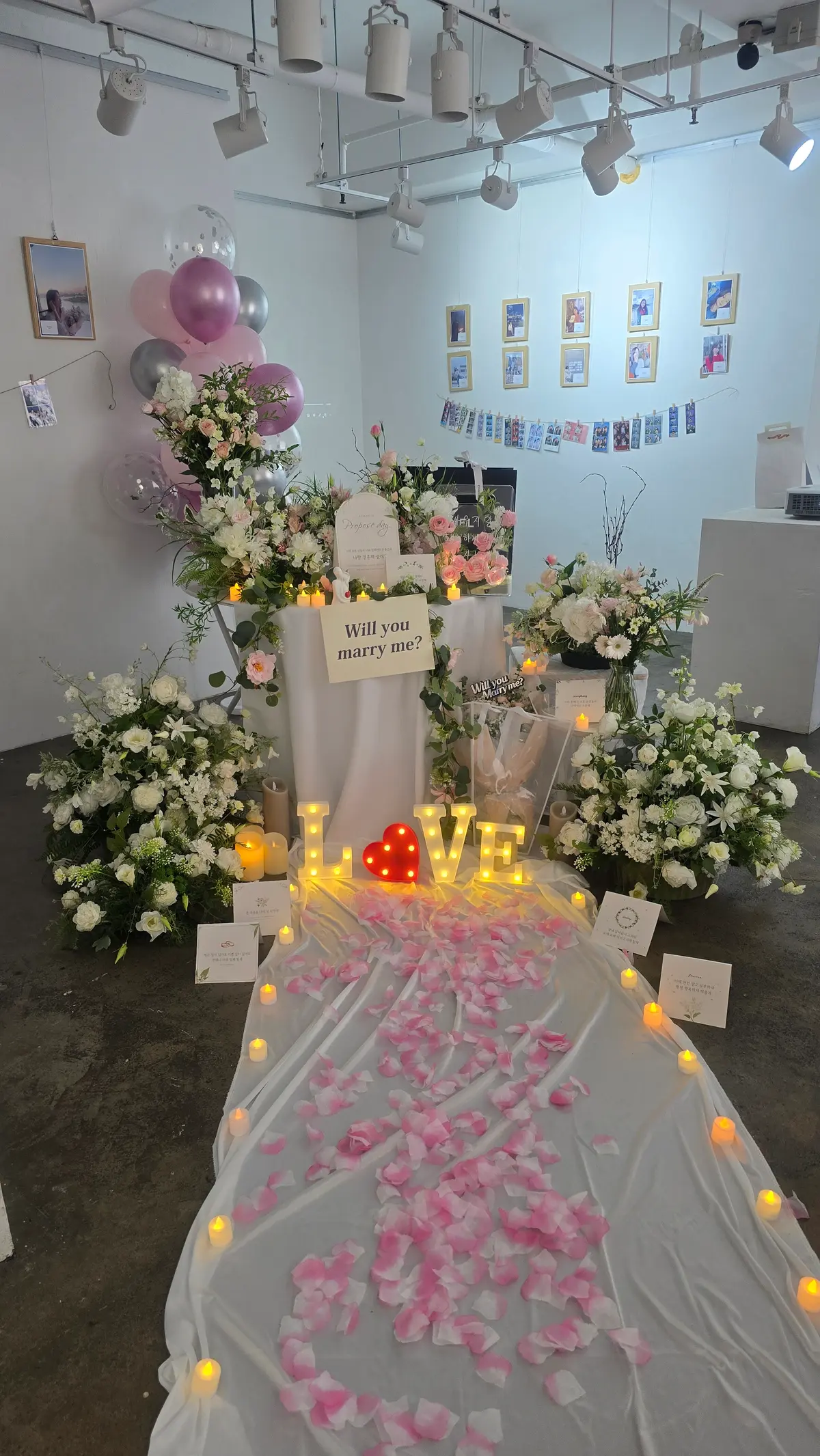 이미지 15