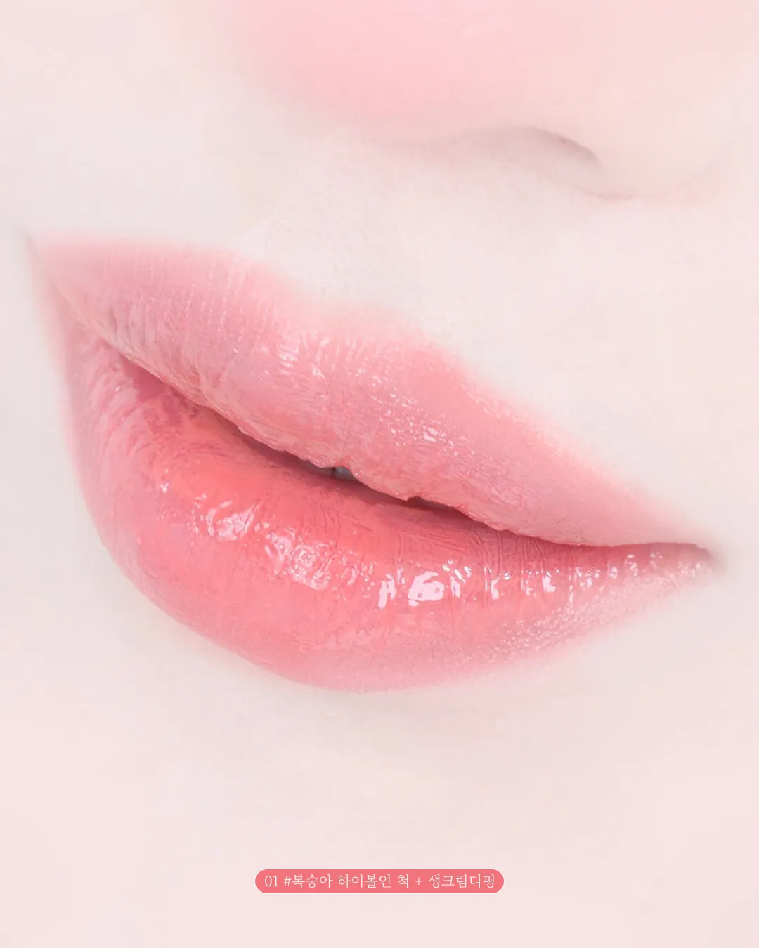 이미지 26