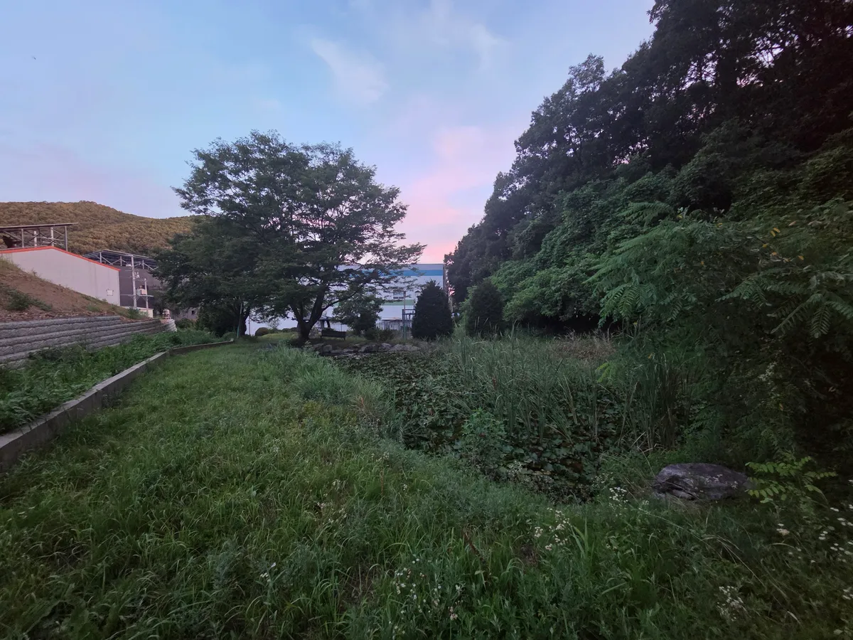 이미지 9