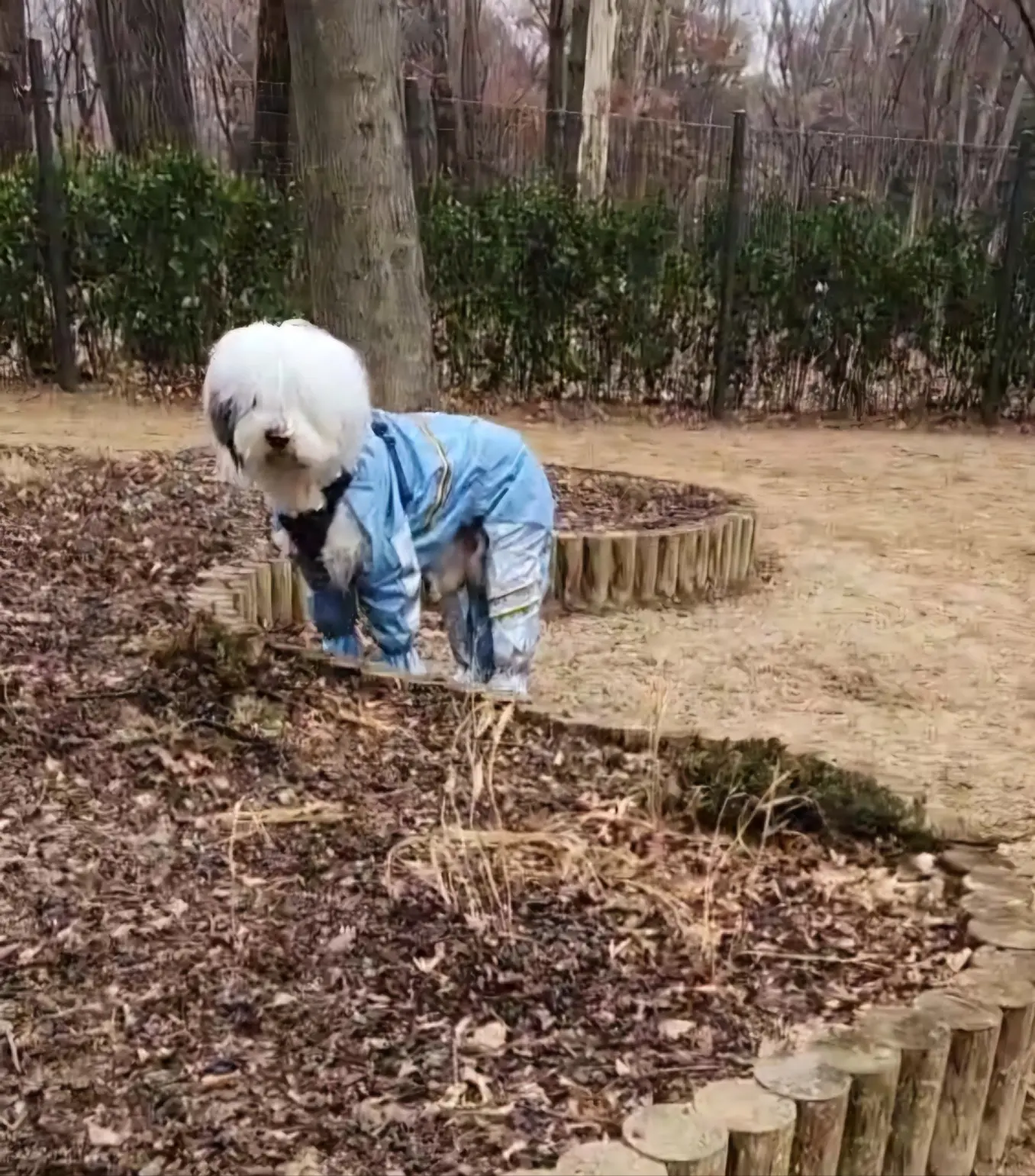 이미지 7