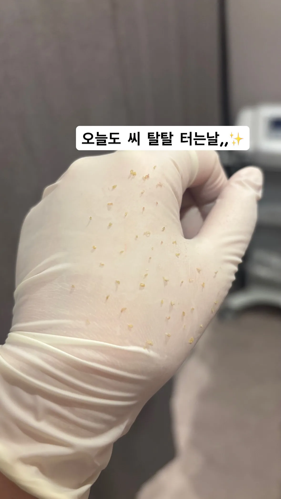 이미지 5