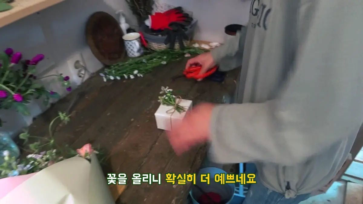 이미지 7