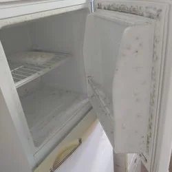 소형 냉장고 청소