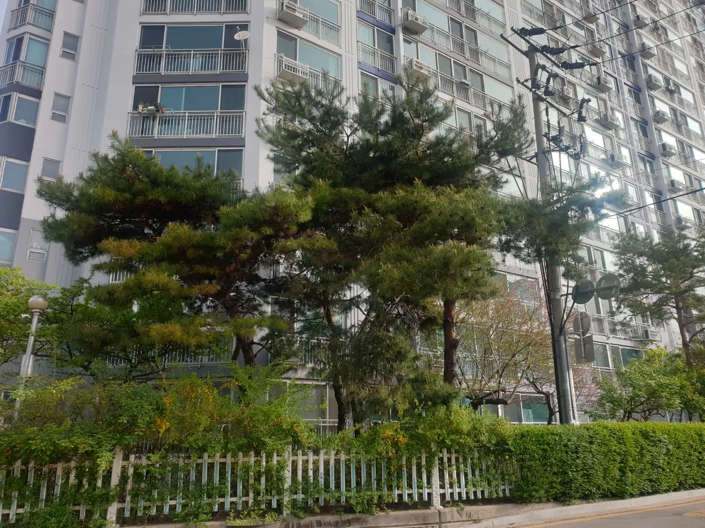 이미지 9