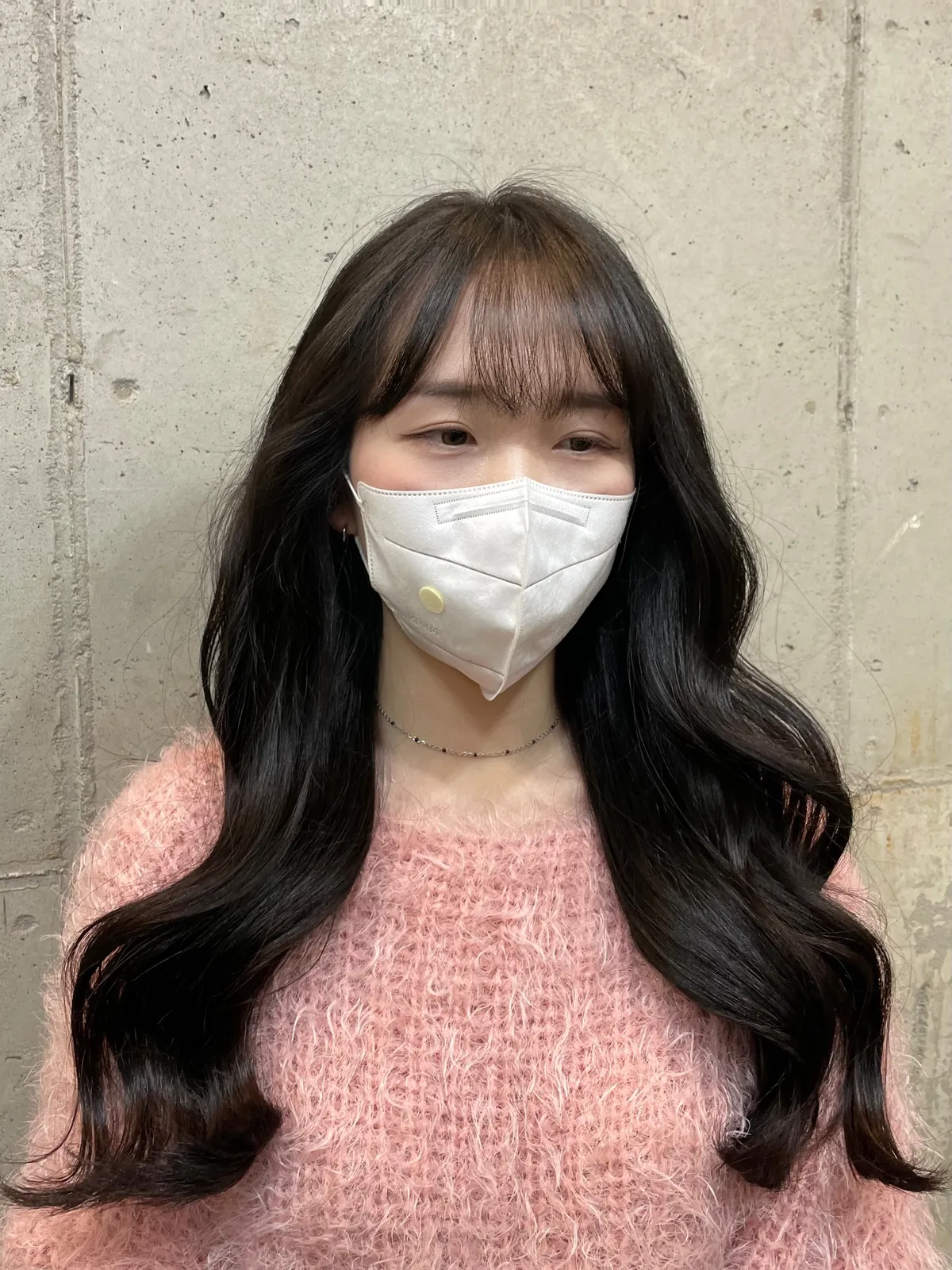 이미지 5