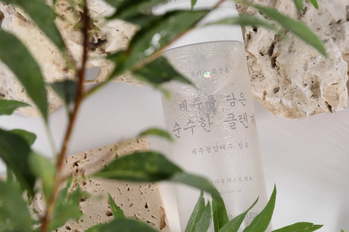 이미지 10