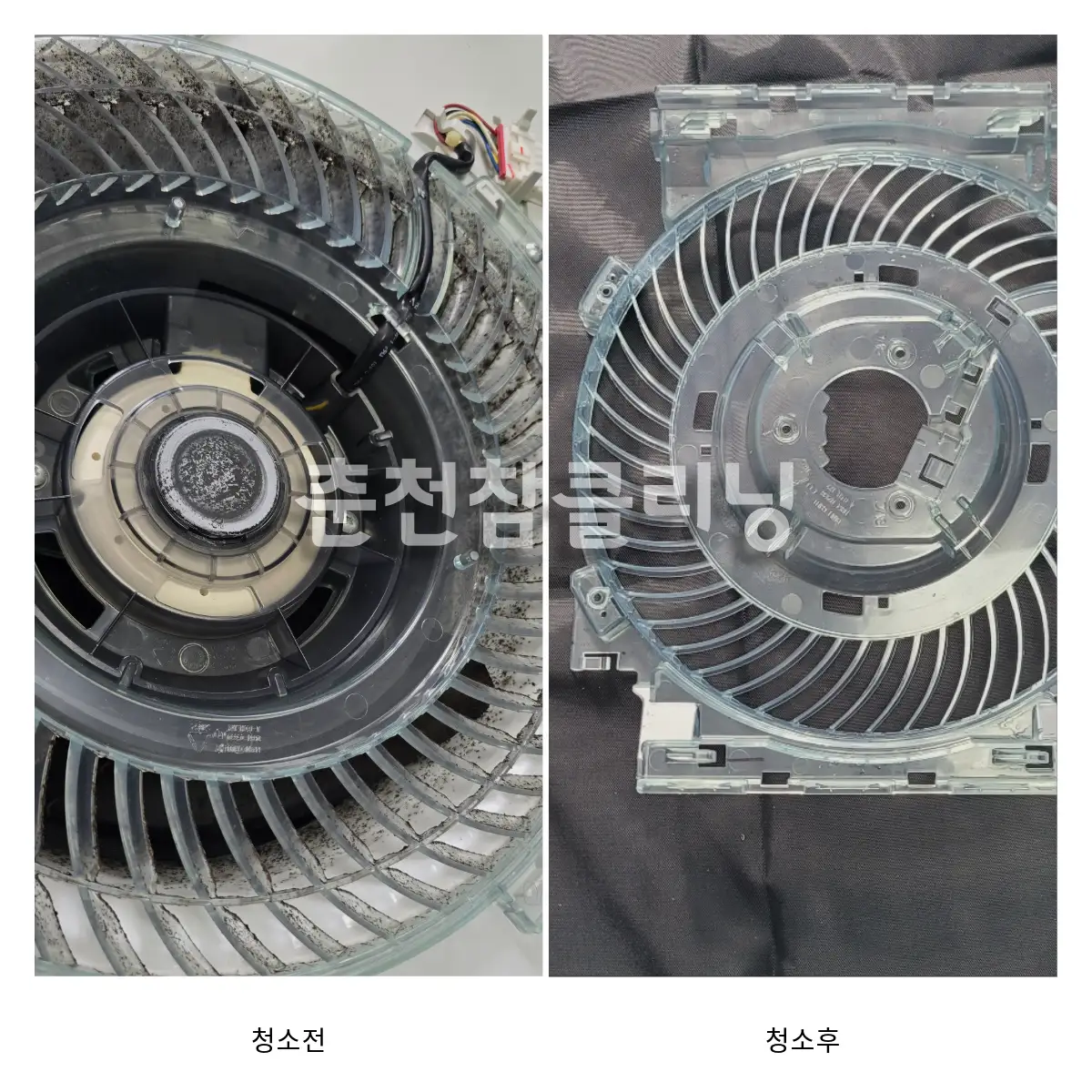 이미지 10