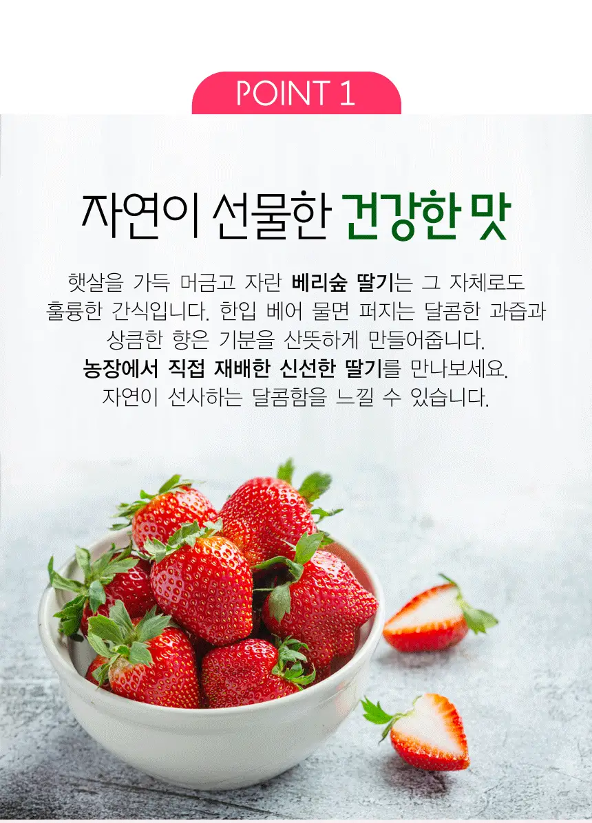 이미지 4