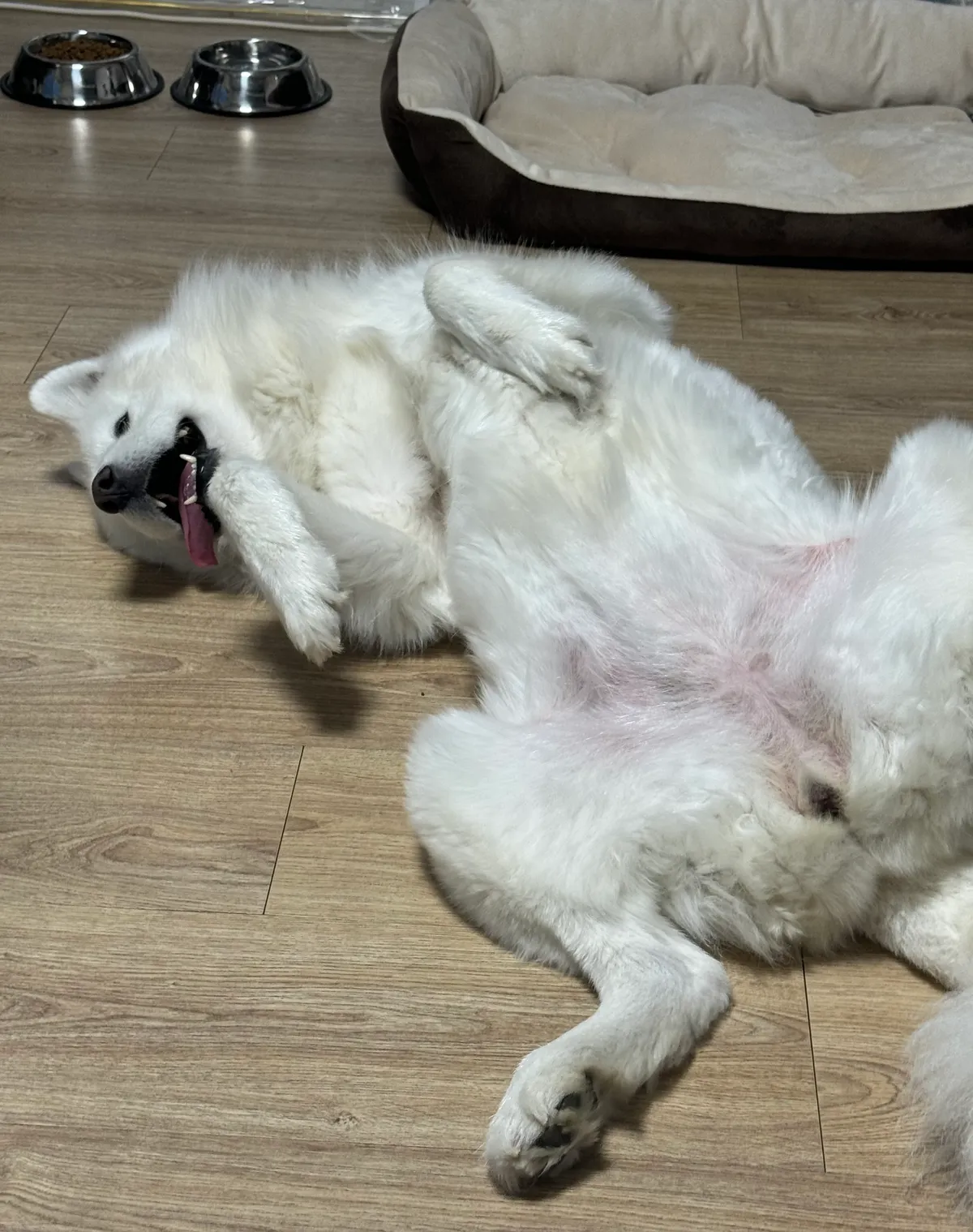 이미지 7