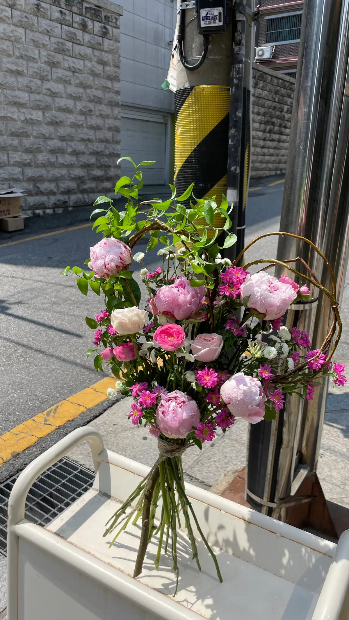 이미지 7