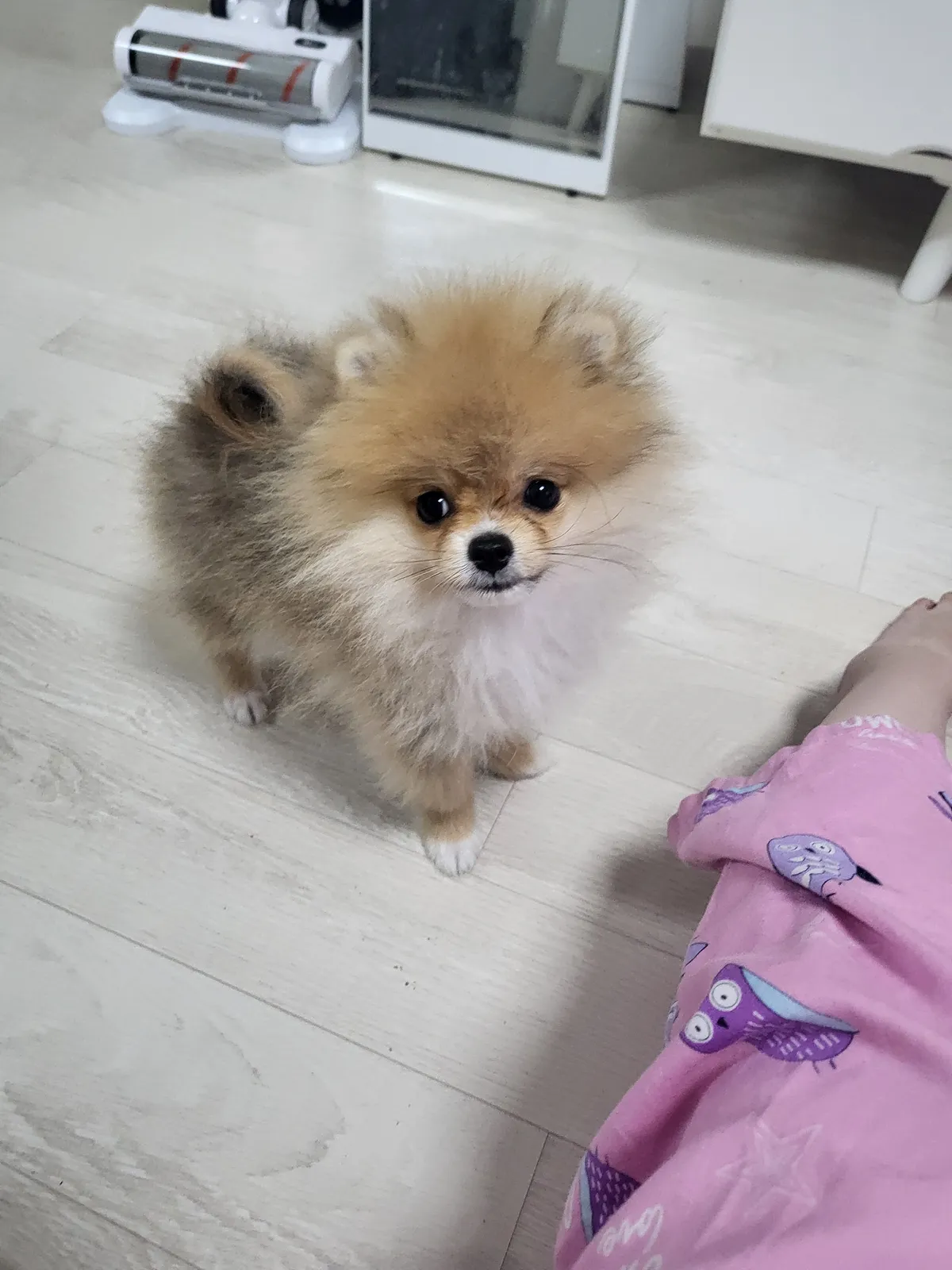 이미지 3