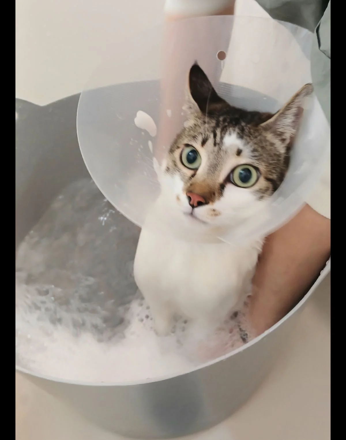 이미지 5