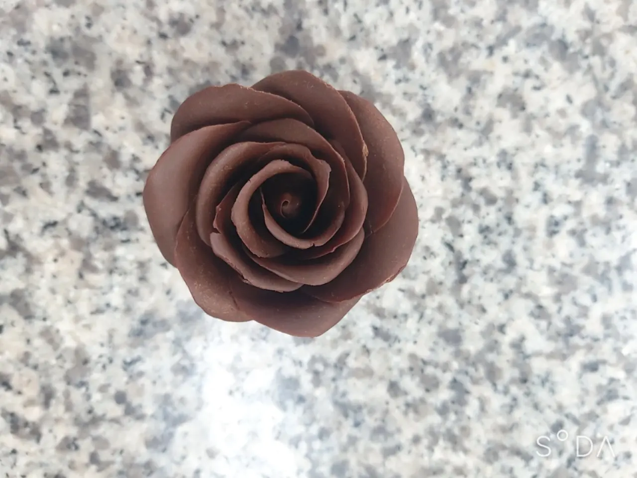이미지 7