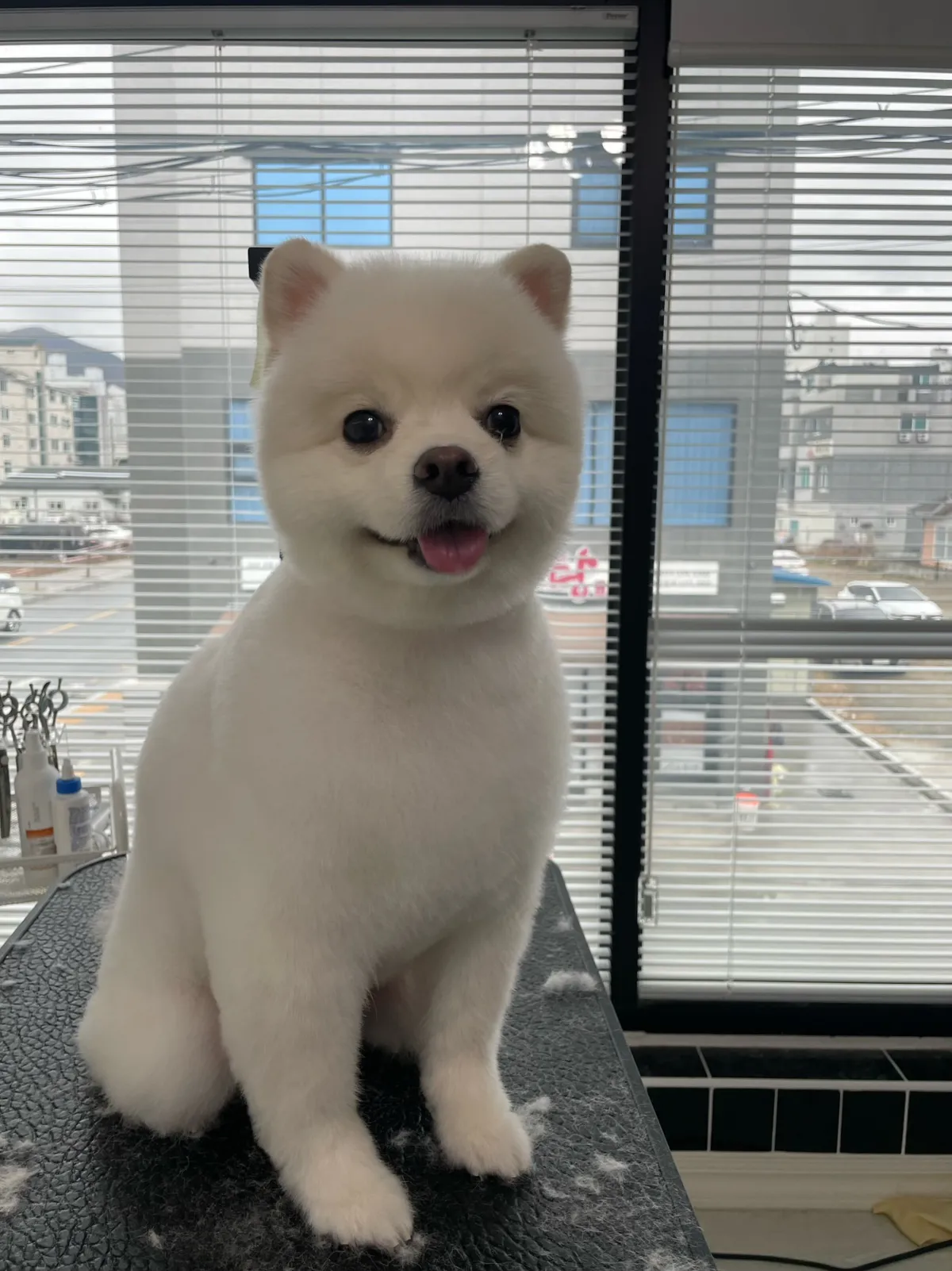 이미지 5