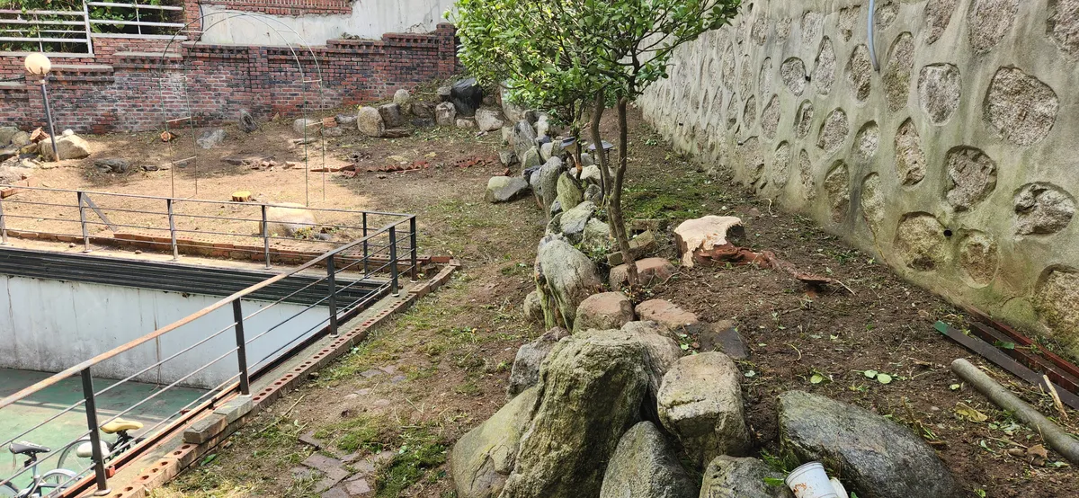 이미지 8