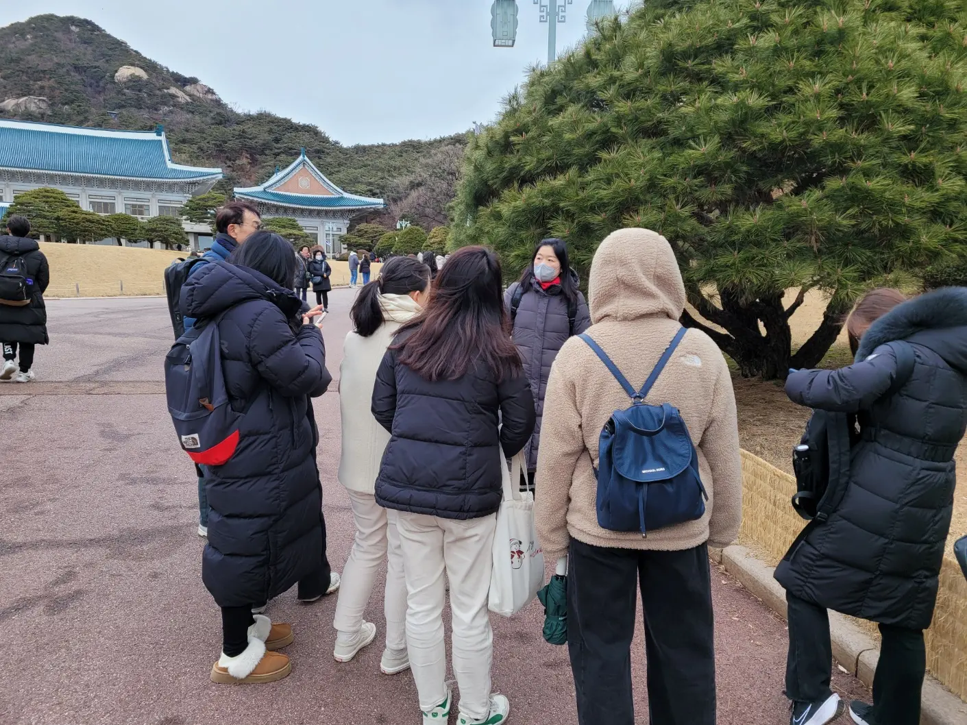 이미지 6