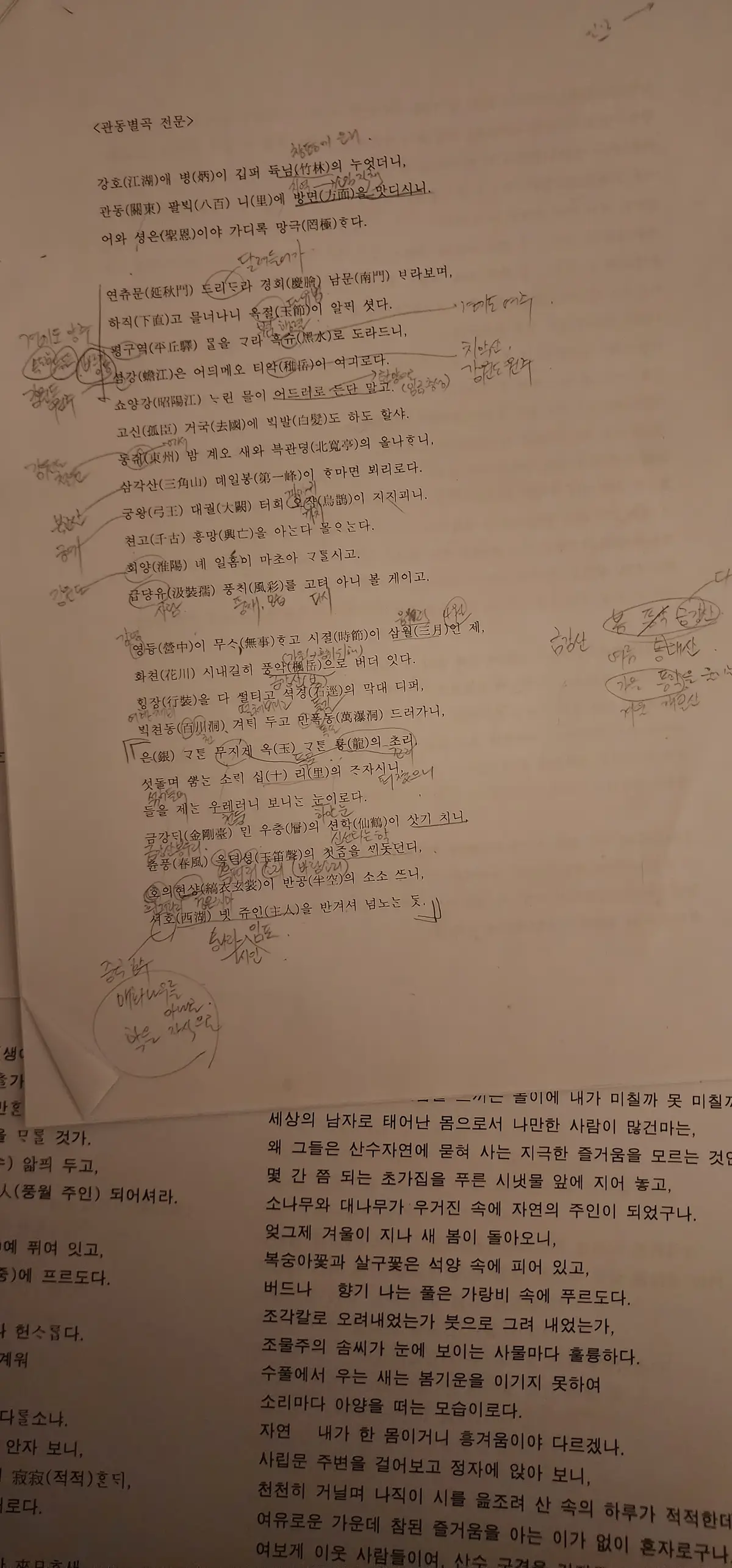 이미지 9