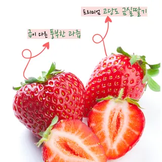 베리숲 딸기 상세페이지